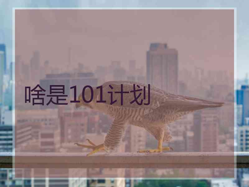 啥是101计划