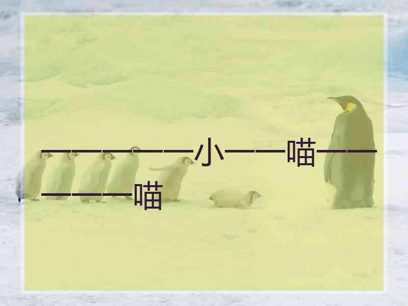 一一一一一小一一喵一一一一一喵