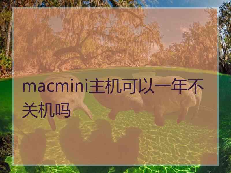 macmini主机可以一年不关机吗