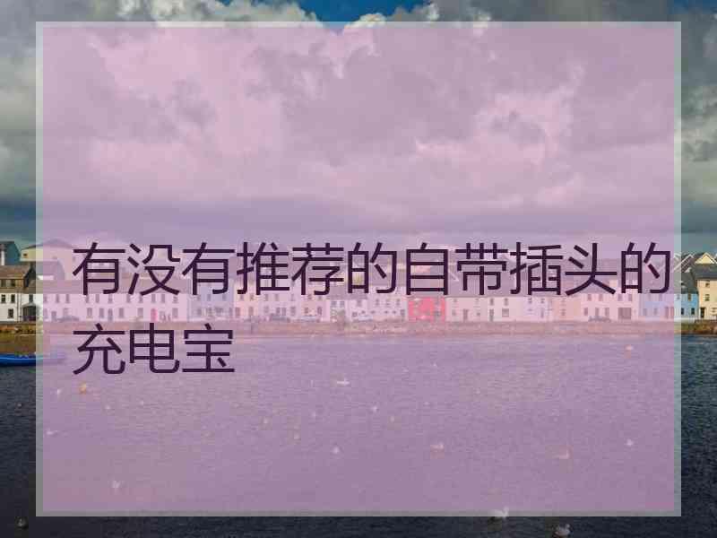 有没有推荐的自带插头的充电宝