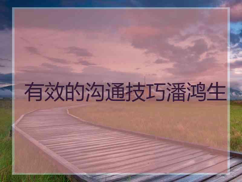 有效的沟通技巧潘鸿生