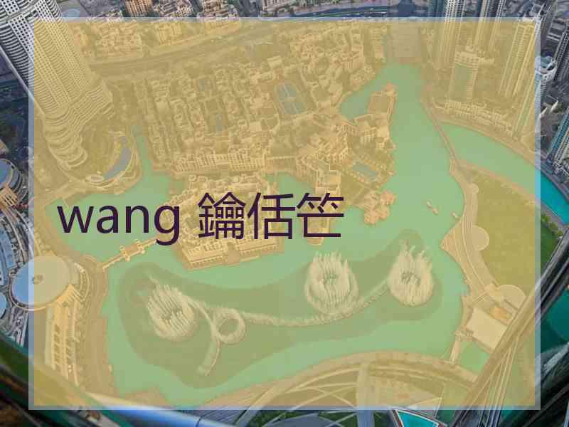 wang 鑰佸笀