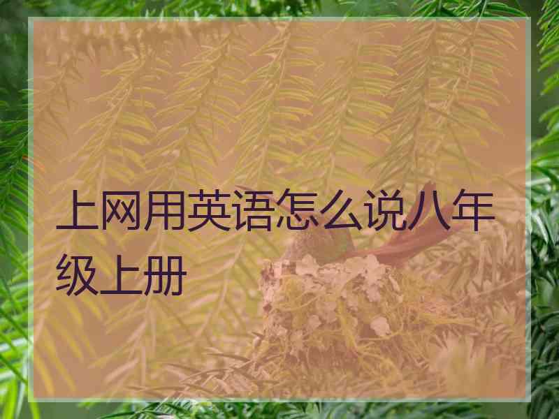 上网用英语怎么说八年级上册