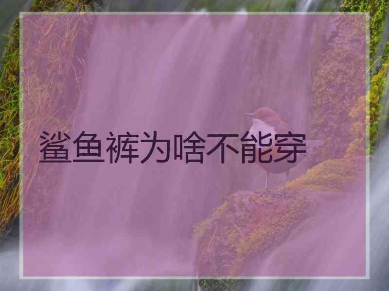 鲨鱼裤为啥不能穿