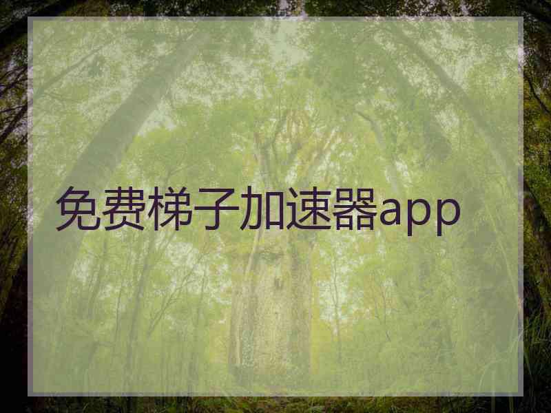 免费梯子加速器app