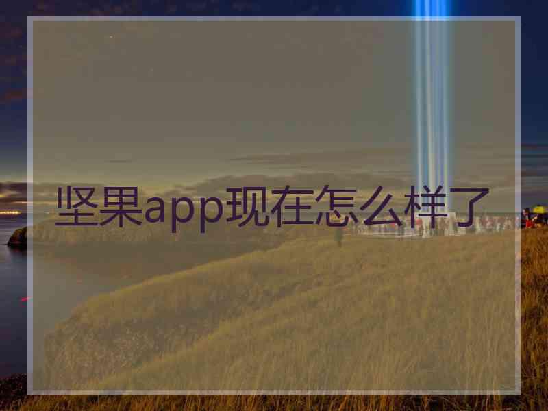 坚果app现在怎么样了