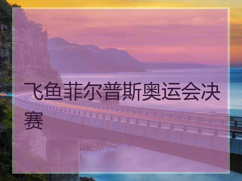 飞鱼菲尔普斯奥运会决赛