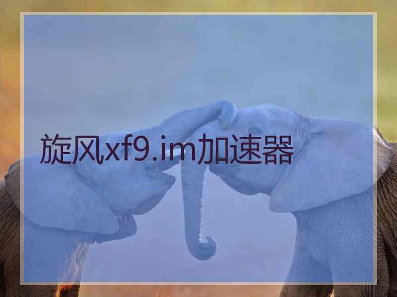 旋风xf9.im加速器