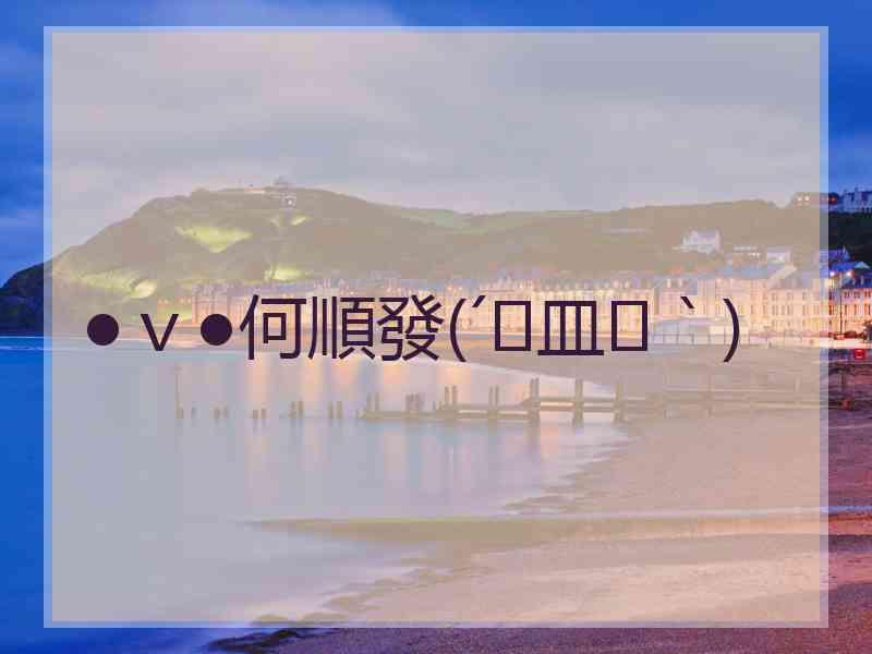●ｖ●何順發(´இ皿இ｀)