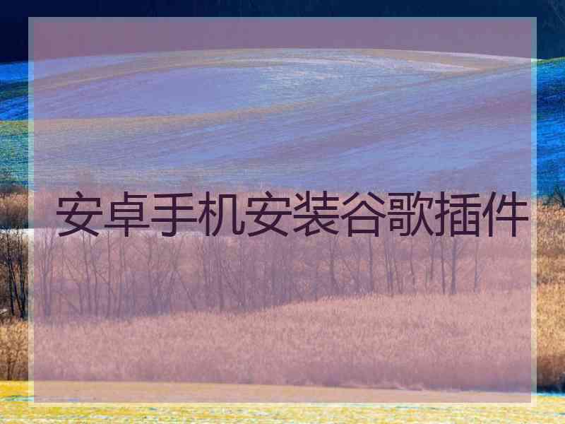 安卓手机安装谷歌插件