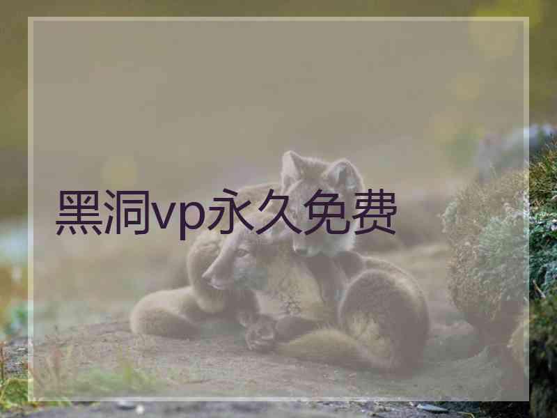 黑洞vp永久免费