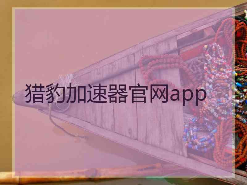 猎豹加速器官网app