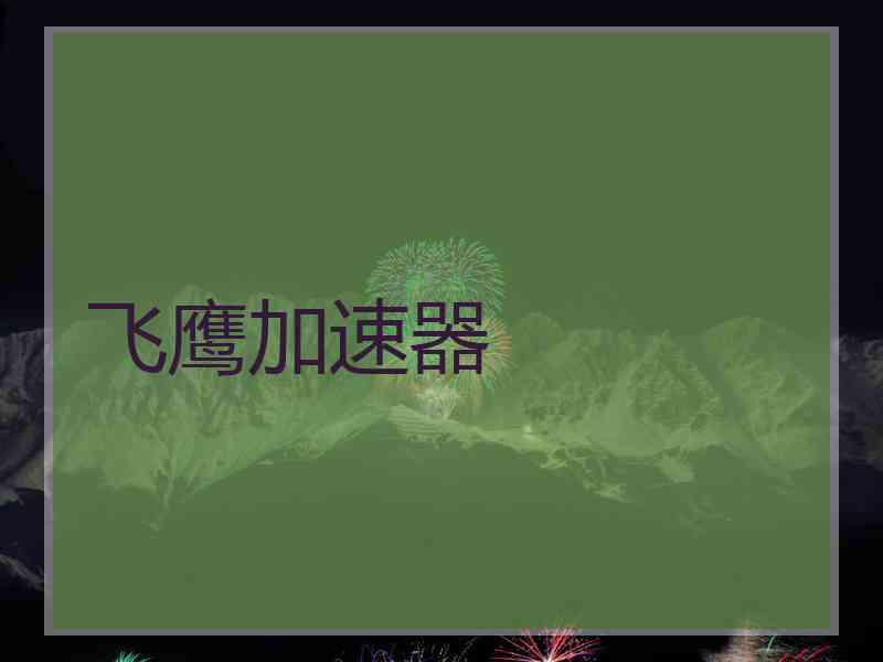 飞鹰加速器