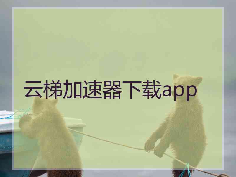云梯加速器下载app
