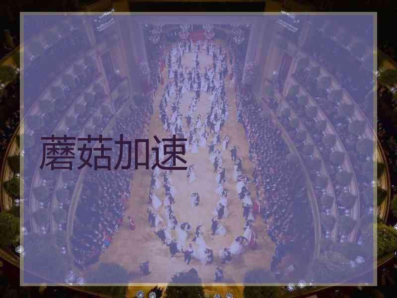 蘑菇加速