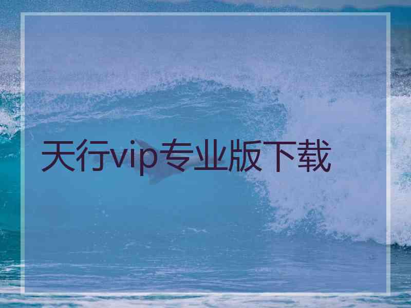 天行vip专业版下载