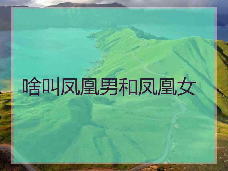 啥叫凤凰男和凤凰女