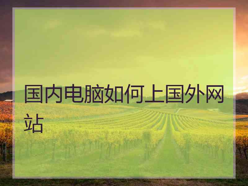 国内电脑如何上国外网站