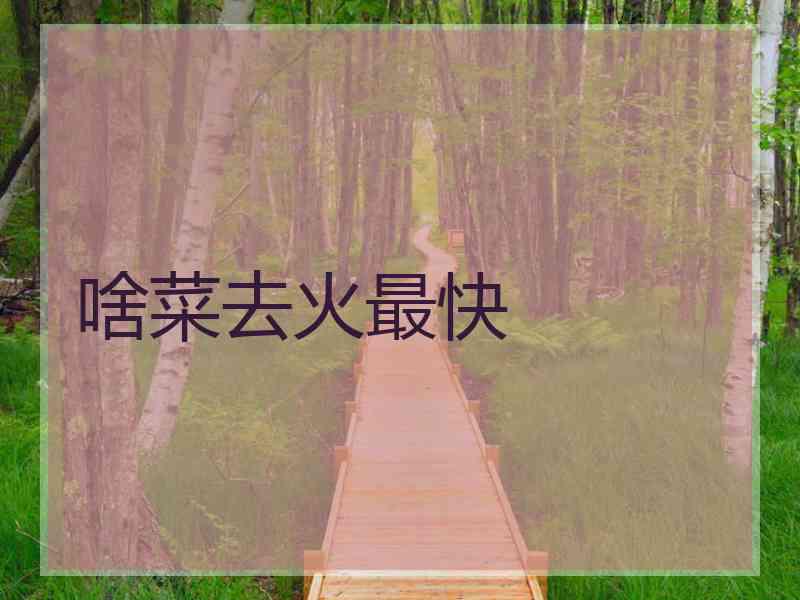 啥菜去火最快