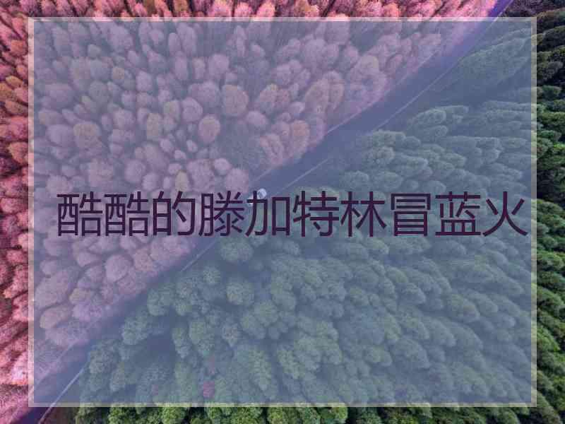 酷酷的滕加特林冒蓝火