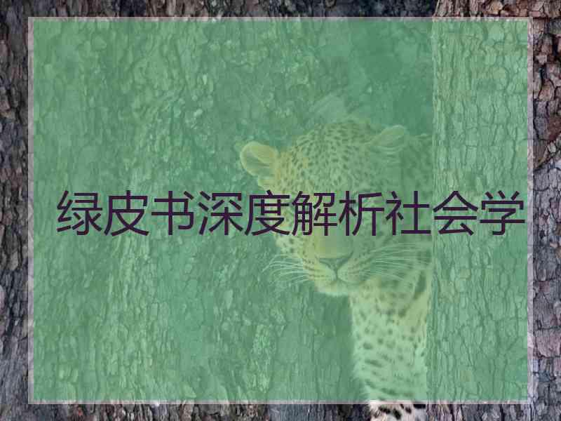 绿皮书深度解析社会学