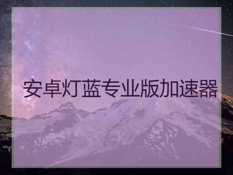 安卓灯蓝专业版加速器