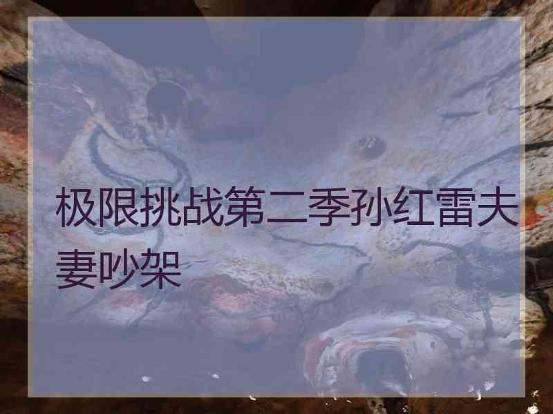 极限挑战第二季孙红雷夫妻吵架