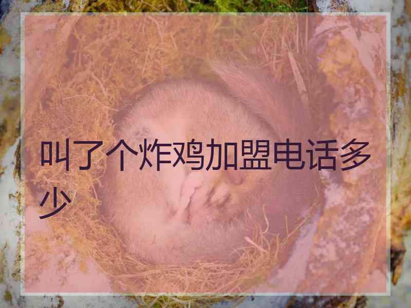 叫了个炸鸡加盟电话多少