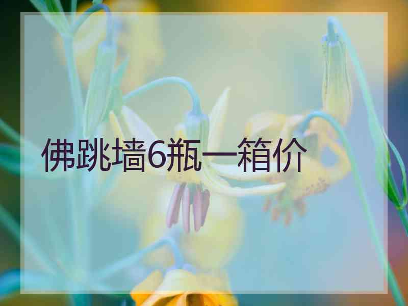 佛跳墙6瓶一箱价