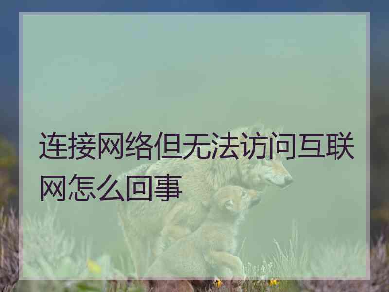 连接网络但无法访问互联网怎么回事