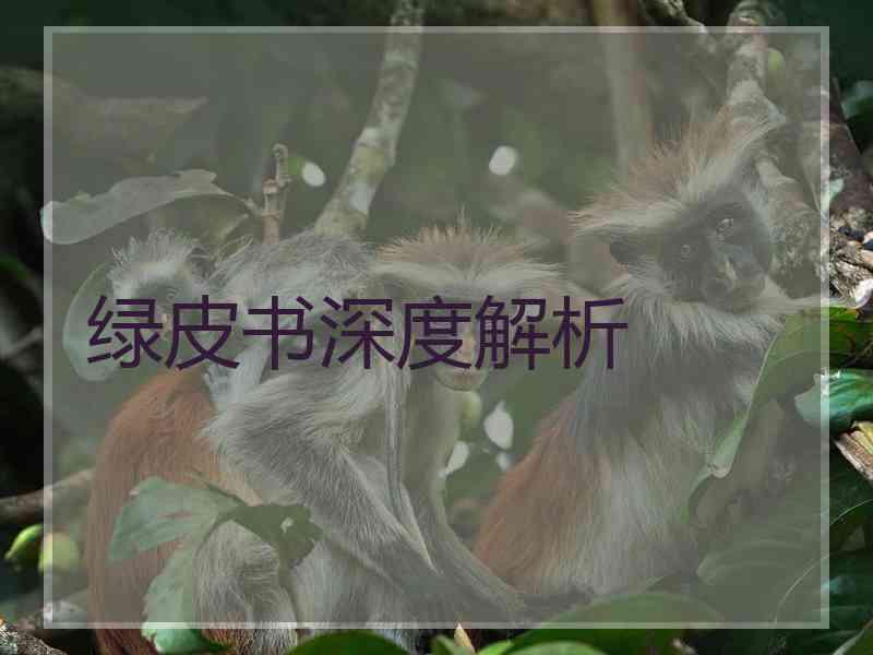 绿皮书深度解析