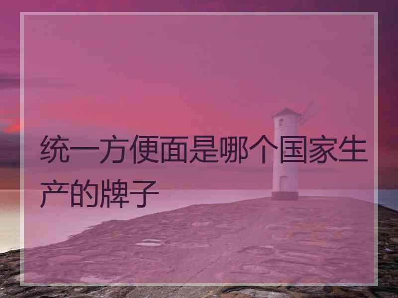 统一方便面是哪个国家生产的牌子