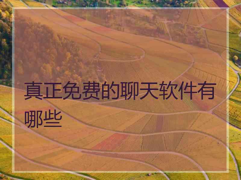 真正免费的聊天软件有哪些