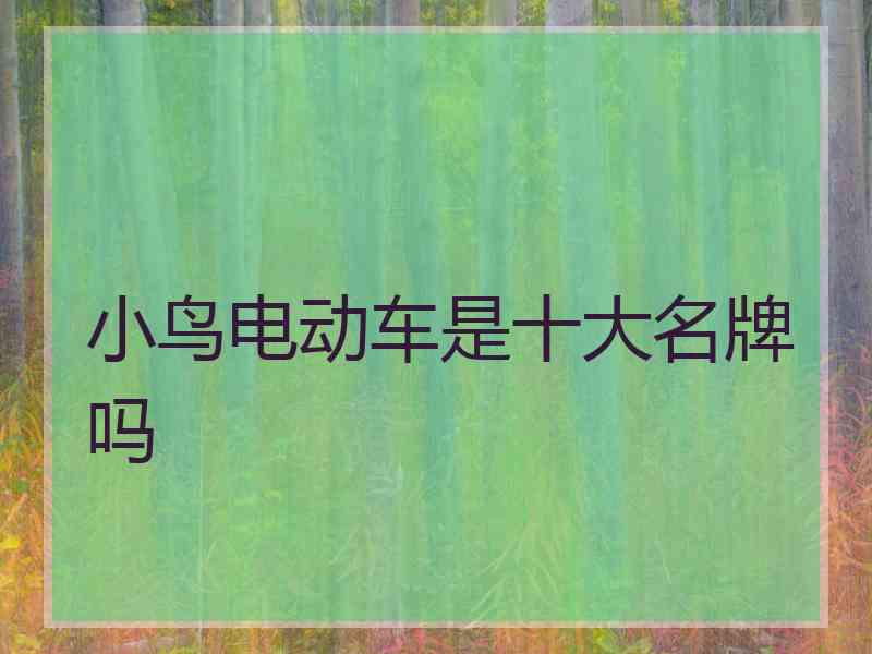 小鸟电动车是十大名牌吗