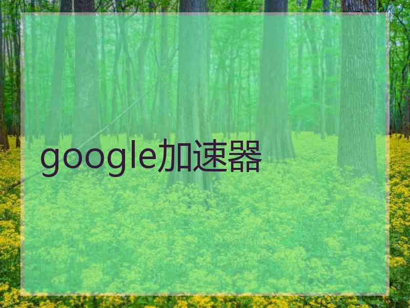 google加速器