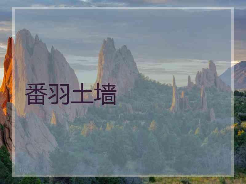 番羽土墙