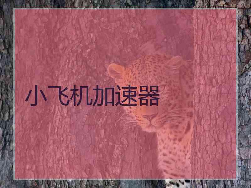 小飞机加速器