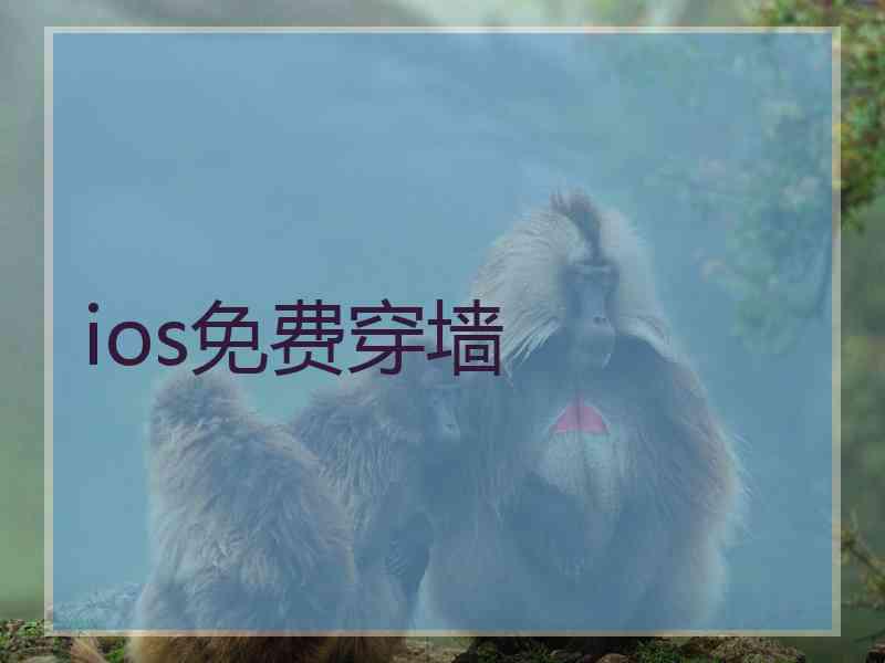 ios免费穿墙