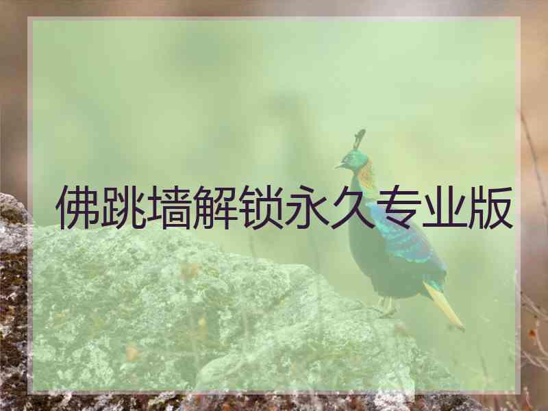 佛跳墙解锁永久专业版