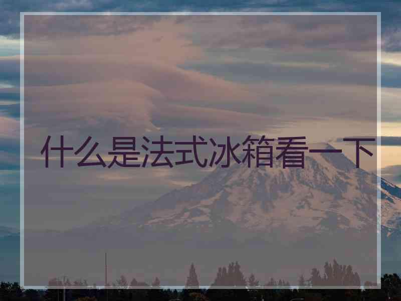 什么是法式冰箱看一下