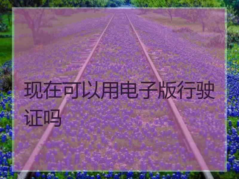 现在可以用电子版行驶证吗