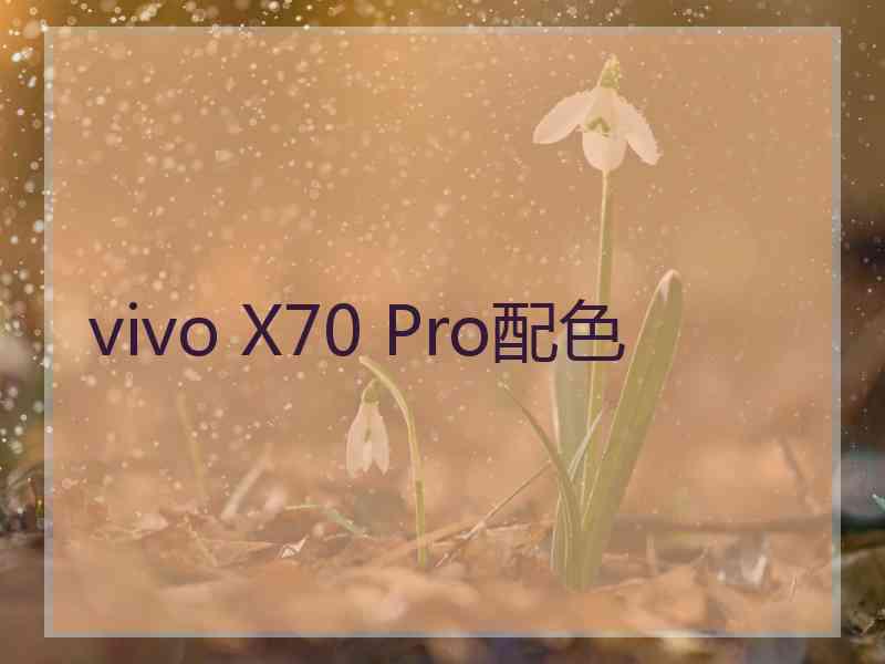 vivo X70 Pro配色