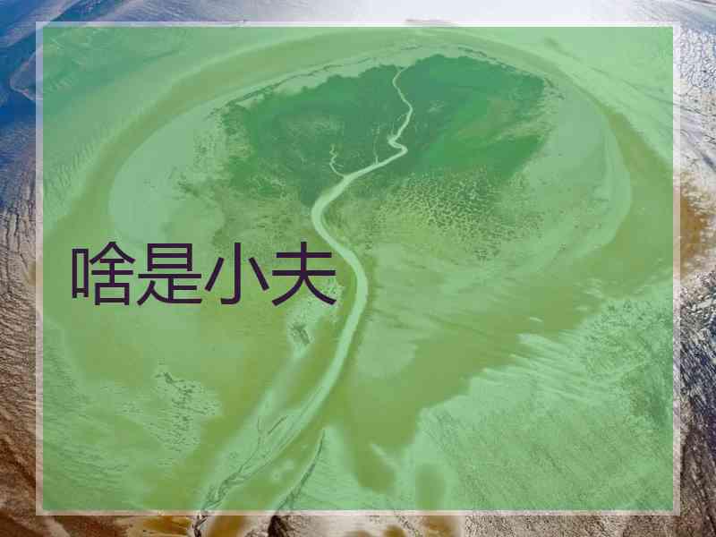 啥是小夫
