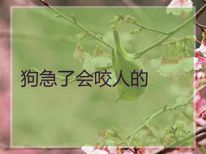 狗急了会咬人的