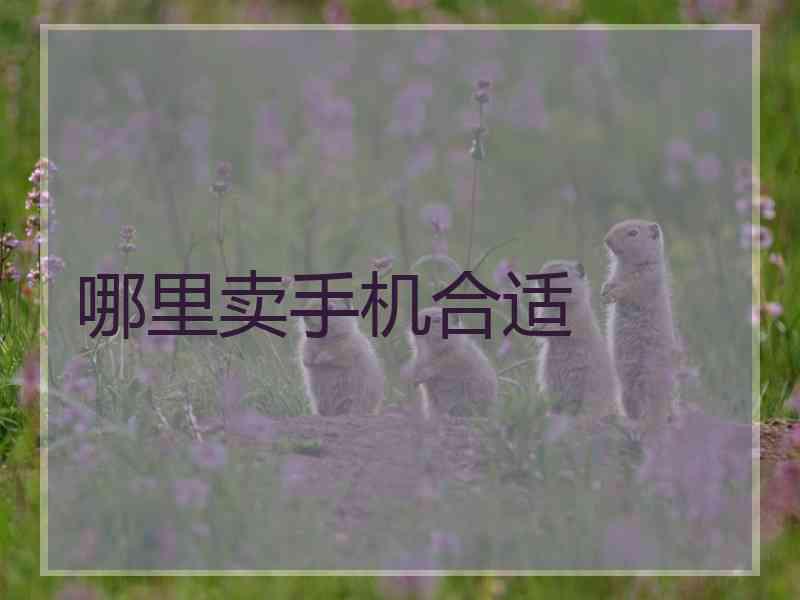 哪里卖手机合适