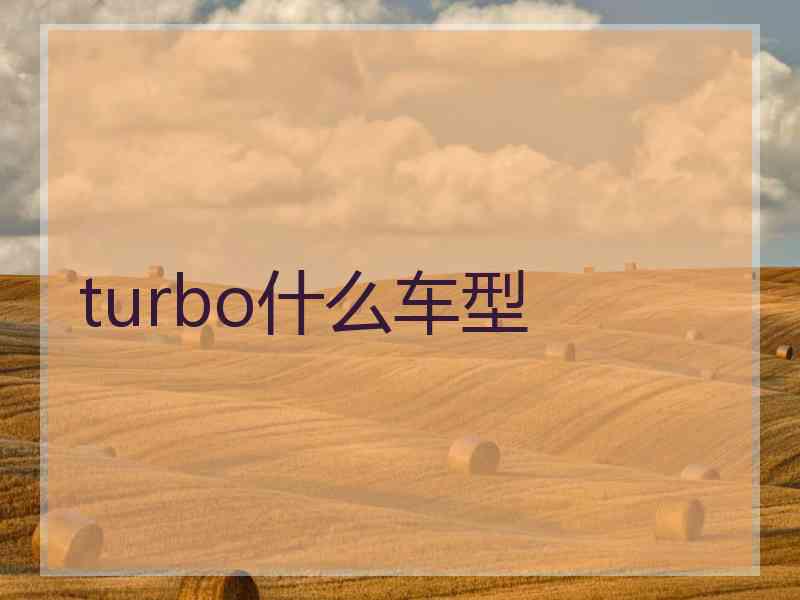 turbo什么车型