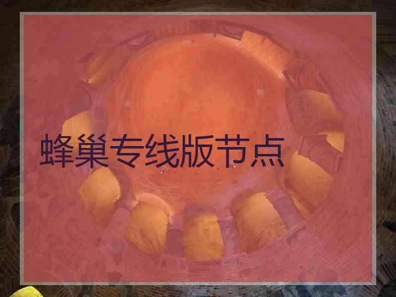 蜂巢专线版节点