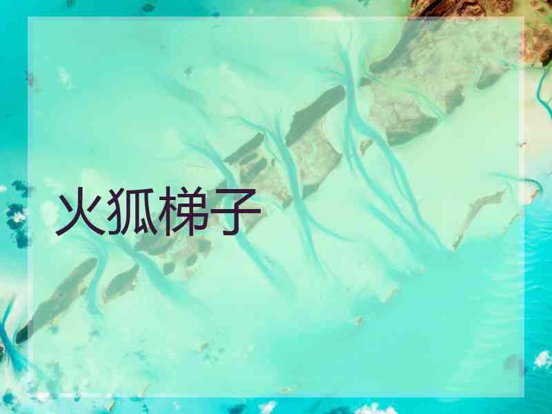 火狐梯子