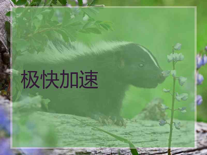 极快加速