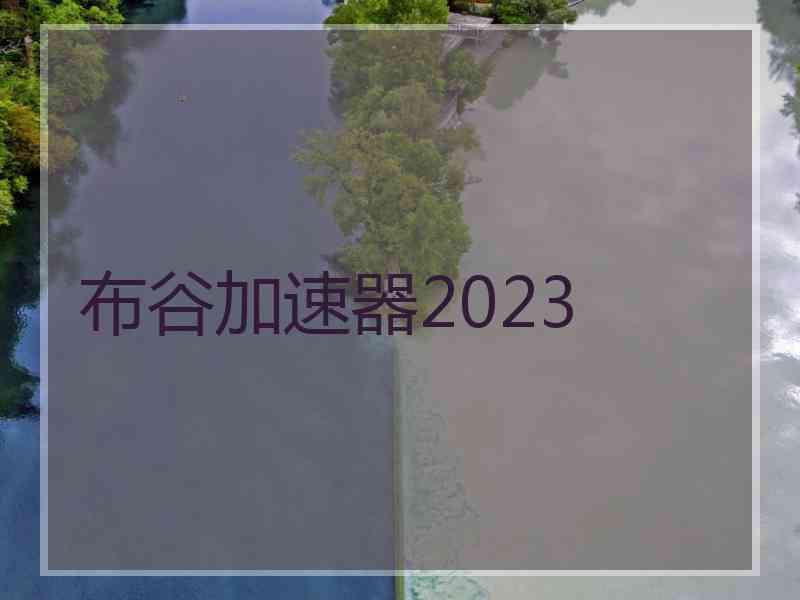 布谷加速器2023